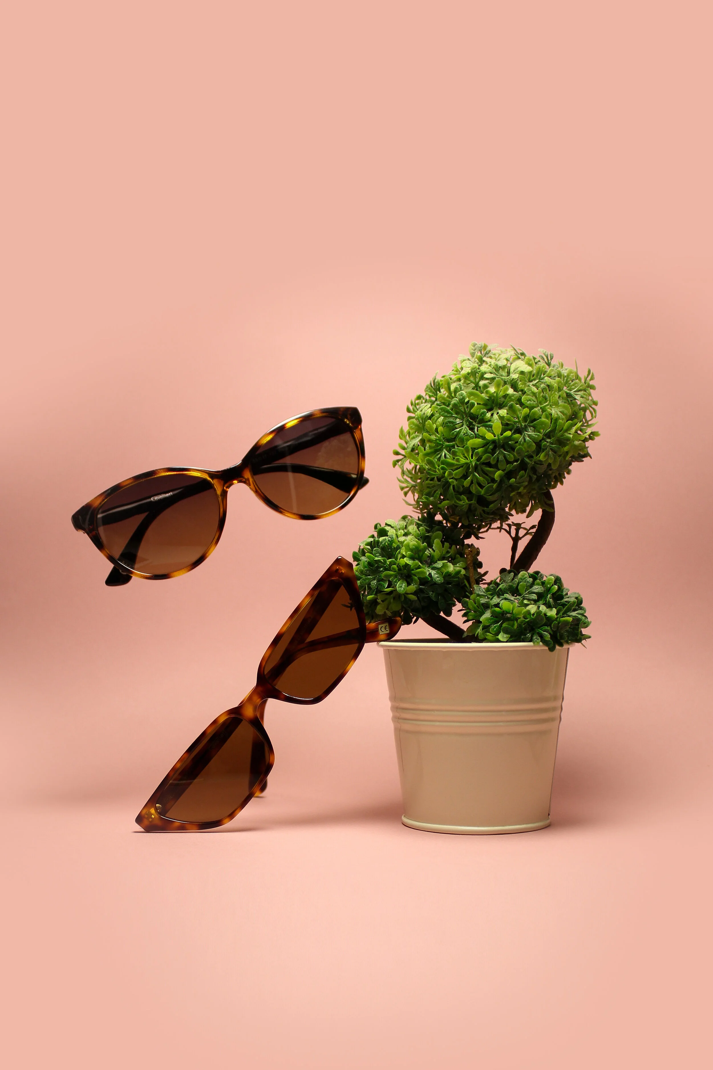 Sustainable sunglass cheap brands